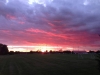 By Michael Holtz from Milton, WI. August Sunset in Schilberg Park, on a walk with the family.