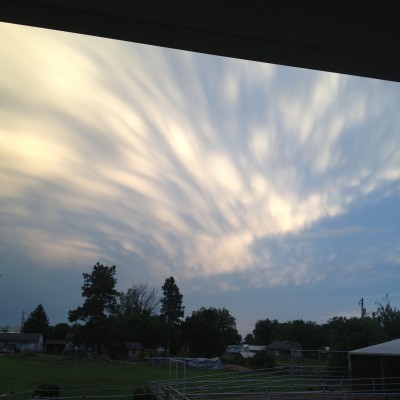 MF sky over fences