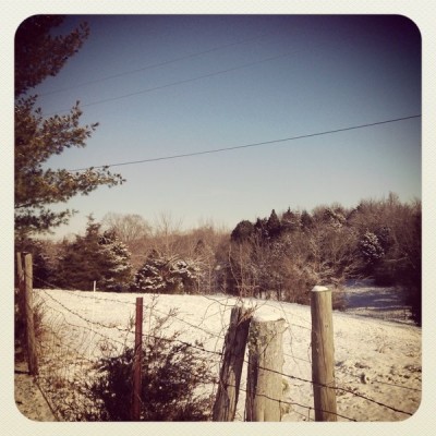 By-Sherri-from-Milton-NC.-Sky-over-neighboring-property