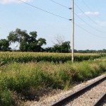 By-Matt-Bright-from-Milton-WI.-The-picture-shows-one-of-the-citys-water-towers-and-the-railroad-tracks-that-run-into-town-from-Janesville.-Milton-Junction-was-formed-around-the-tracks-which-have-been-an-important-part-of-Miltons-history